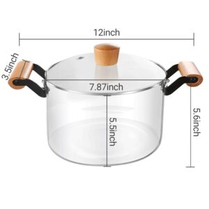 Glass Pot,3.5L(3.69 Quart) Glass Simmer Pot with Lid,Transparent Crock Pot,Heat Resistant Handles,Safe Borosilicate Glass