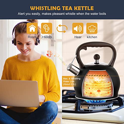 Tea Kettle Whistling Teapot for Stovetop : 2.64 Quart Food Grade Stainless Steel Tea Pot with Wood Pattern Handle, Loud Whistle Kettle for Tea, Coffee, Milk - Black