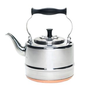 bonjour tea stainless steel and copper-base gooseneck teapot/teakettle/stovetop kettle, 2 quart, silver
