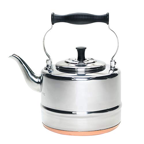 BonJour Tea Stainless Steel and Copper-Base Gooseneck Teapot/Teakettle/Stovetop Kettle, 2 Quart, Silver