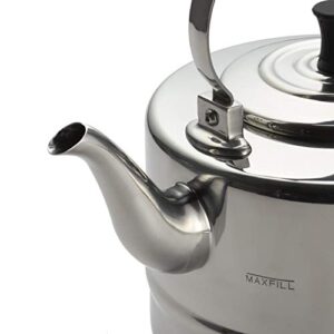 BonJour Tea Stainless Steel and Copper-Base Gooseneck Teapot/Teakettle/Stovetop Kettle, 2 Quart, Silver