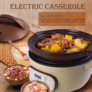 Tianji DSG-TZ30 Electric Clay Pot Slow Cooker for Claypot Rice and Casserole Porridge, Ceramic Casserole Cooking Pot with Unglazed Porcelain, Suitable for Stove, 3L