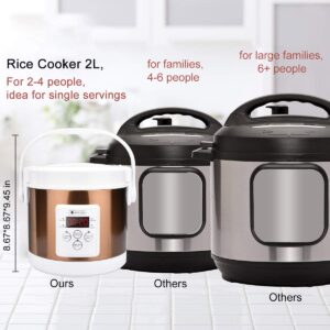 HOMCORT 2.0L Mini Rice Cooker, 25 Minutes Fast Cooking, 3 Cups (Uncooked), with Non-stick Pot, Keep Warm Function, for Soup, Rice, Stews, Grains & Oatmeal - Gold