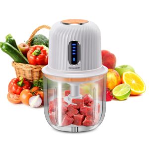 cordless food processor electric, 600ml small electric food chopper glass bowl for meat vegetables onions garlic, meat chopper blender