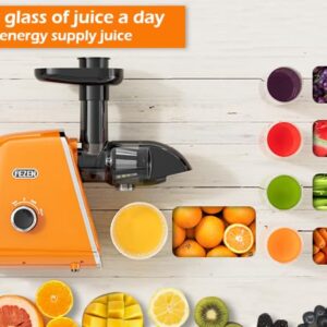 FEZEN Cold Press Juicer, Juicer Machines Vegetable and Fruit, Electric with High Juice Yield, Easy to Clean Masticating for Nutrient Fruit Vegetables, Pure Juice, Quiet Motor