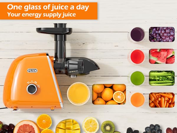 FEZEN Cold Press Juicer, Juicer Machines Vegetable and Fruit, Electric with High Juice Yield, Easy to Clean Masticating for Nutrient Fruit Vegetables, Pure Juice, Quiet Motor