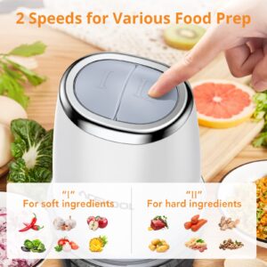 Mini Food Processor with 2.5 Cup Glass Bowl, Acekool Small Electric Food Chopper for Vegetables Meat Fruits Nuts Puree - 300W 2 Speed Kitchen Food Processor With Sharp Blades