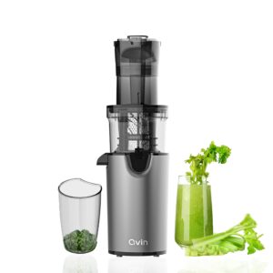 qvin compact slow masticating juicer machines 3inch large feed chute, easy to clean, bpa free, 200w nutritional electrical cold press juicer machine vegetable and fruit,deluxe silver-gray