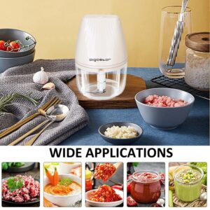 Aigostar Electric Mini Garlic Chopper, Cordless Mini Chopper Food Processor, Portable Small Food Chopper, Mini Garlic Chopper Blender for Onion Ginger Spice Meat, Veggie, Nuts, Baby Food, Puree 250ml