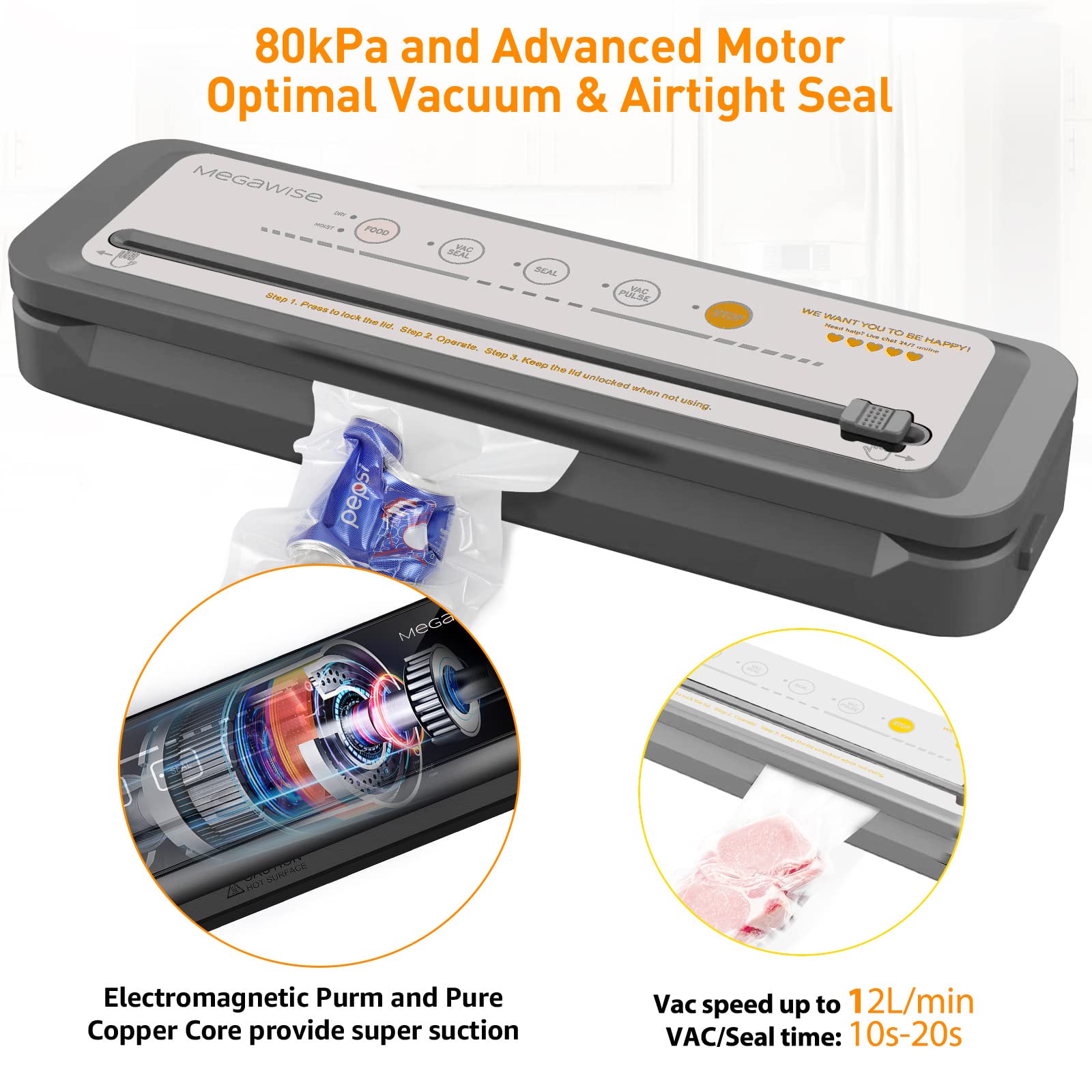 MegaWise Powerful but Compact Vacuum Sealer Machine (Silver)