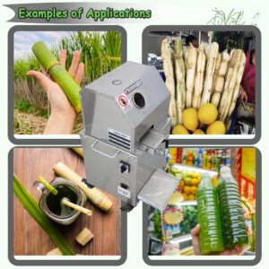 INTSUPERMAI Commercial Sugar Cane Press Juicer Machine with Cleaning Port 304 Stainless Steel Rollers Three Rollers Sugarcane Juice Extractor for Commercial Home Use 110V 750W