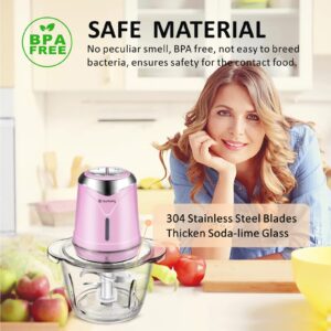 Food Processor 6000mAh Cordless Vegetable Chopper with 5 Cup Glass Bowl, Electric Garlic Meat Choppers BPA-free Baby Food Processors Blender Small Kitchen Mixer Mincer with 4 Blades, 2 Speeds (Pink)