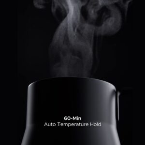 SAKI Baristan Electric Gooseneck Kettle with Precise Temperature Control, Pour Over Coffee Kettle & Tea Kettle, Stainless Steel, 1200W Quick Heating, 1 Liter, Matte Black