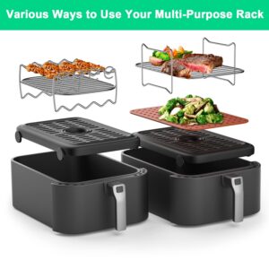 MFTEK Air Fryer Rack Set Of 2 for Dual Basket, Air Fryer Accessories Dehydrator Rack, Multi-purpose Double Layer Rack with Skewer, Compatible with Double Basket Air Fryers Ninja Foodi DZ201/401