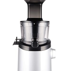 Hurom H101 Easy Clean Slow Juicer, Matte Silver (Renewed)