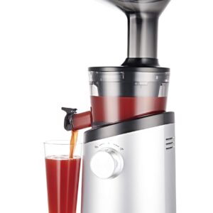 Hurom H101 Easy Clean Slow Juicer, Matte Silver (Renewed)