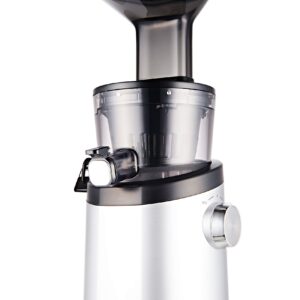 Hurom H101 Easy Clean Slow Juicer, Matte Silver (Renewed)