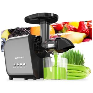 celery juicer machines easy to clean,electric cold press juicer extractor leafy greens wheatgrass beet,quiet vegetables and fruits juicer 250w motor,reverse function,low speed,bpa free,dishwasher safe
