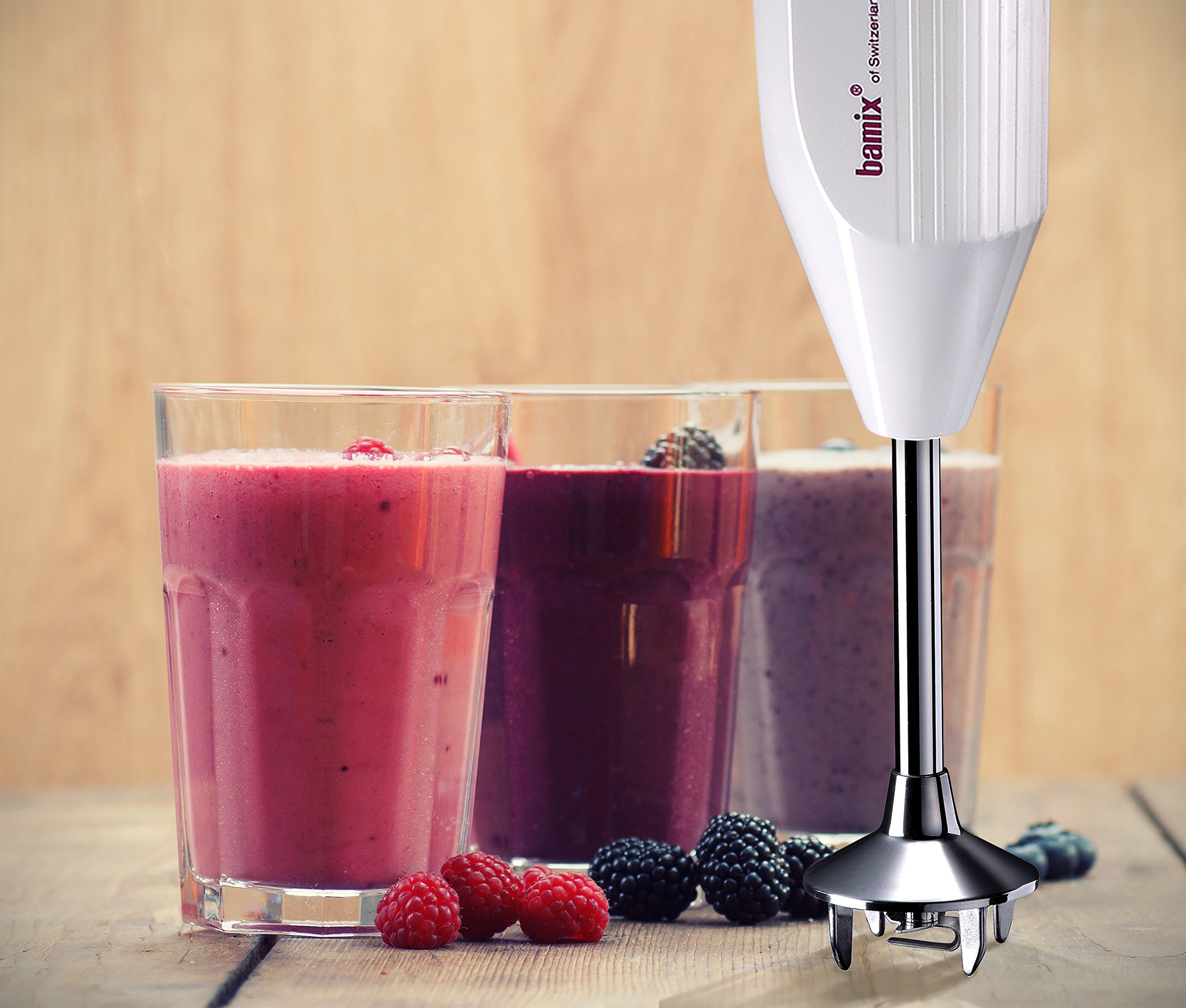 Bamix Pro-2 G200 Professional Series NSF Rated 200 Watt 2 Speed 3 Blade Immersion Hand Blender with Wall Bracket