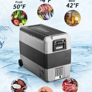 Alpicool T60 Dual Temperature Control Portable Refrigerator 63 Quart Compact Fridge Mini Freezer -12/24V DC and 110-240V AC