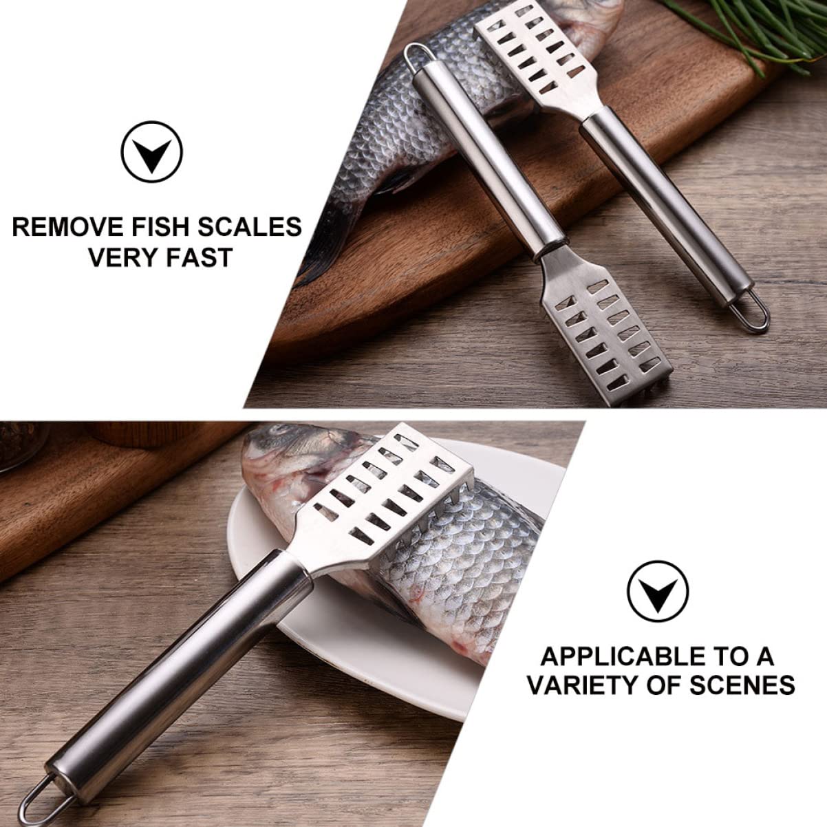 BESTonZON 6pcs Stainless Easily and Scaler Chef Kitchen Brush Easier Peeler Practical Tool Cooking Scales Durable for Scraper Fish Scale Seafood Peeling Sawtooth with Remover Silver Shop