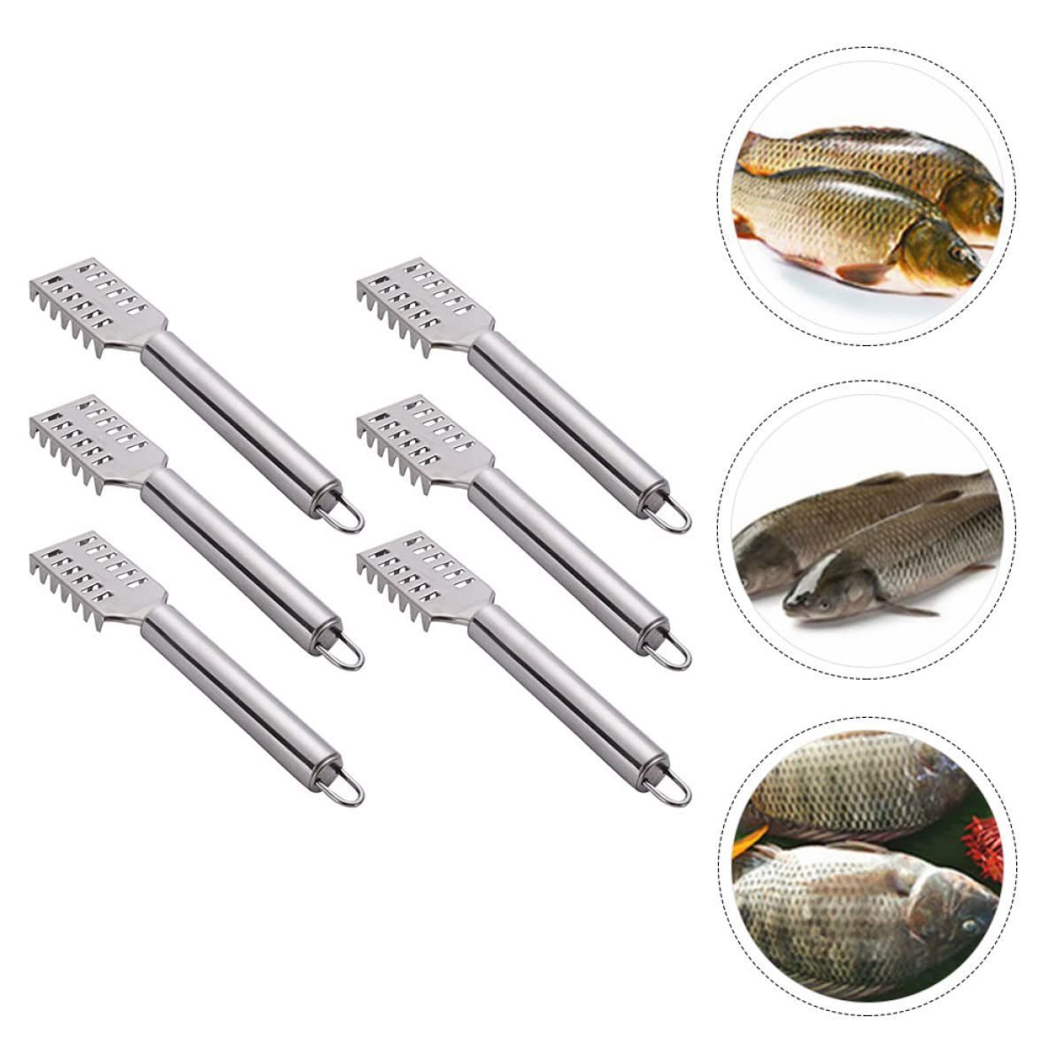 BESTonZON 6pcs Stainless Easily and Scaler Chef Kitchen Brush Easier Peeler Practical Tool Cooking Scales Durable for Scraper Fish Scale Seafood Peeling Sawtooth with Remover Silver Shop