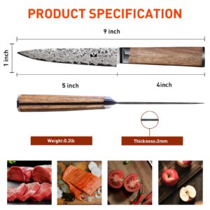 Santoku Knife Damascus 7-inch, Kitchen Utility Knife 5 inch Damascus Knife 67-Layer Damascus VG10 Steel Ultra Sharp Professional Kitchen Knife with Hexagon Natural Wood Handle, Gift Box