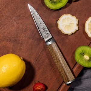 8 inch Damascus Kiritsuke Chef Knife, Peeling Knife 3.5-inch 67-Layer Damascus with VG10 Cutting Core,Full Tang Ergonomic Natural Wood Handle for Peeling