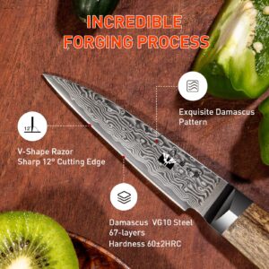 Damascus Steel Chef Knife 8 inch, Paring Knife 3.5 inch 67-Layer Damascus with VG10 Cutting Core Kitchen Knives with Full Tang Ergonomic Natural Wood Handle