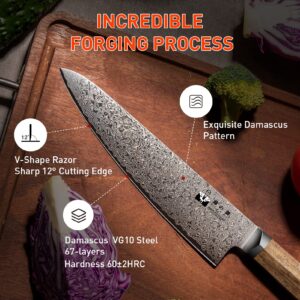 Damascus Steel Chef Knife 8 inch, Paring Knife 3.5 inch 67-Layer Damascus with VG10 Cutting Core Kitchen Knives with Full Tang Ergonomic Natural Wood Handle
