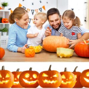 Ubitree Halloween Pumpkin Carving Kit, Jack-O-Lanterns 4pcs Professional Pumpkin Cutting Supplies Tools Stainless Steel Pumpkin Carving Knife Reusable Sturdy Carve Sculpt Set for Halloween Decoration