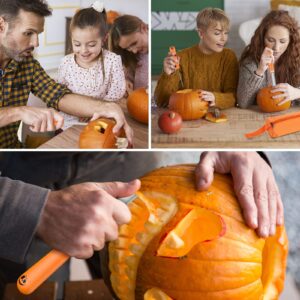 Ninonly Pumpkin Carving Kit, Professional 17Pcs Stainless Steel Pumpkin Knives Tools with Carrying Bag Pumpkin Carver Pumpkin Sculpting Set for Adults Kids Halloween Party Decorating Jack-O-Lanterns