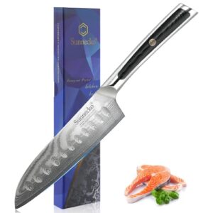 sunnecko kitchen knife japanese damascus santoku knife 5 inch,high carbon steel cooking knife professional with g10 handle