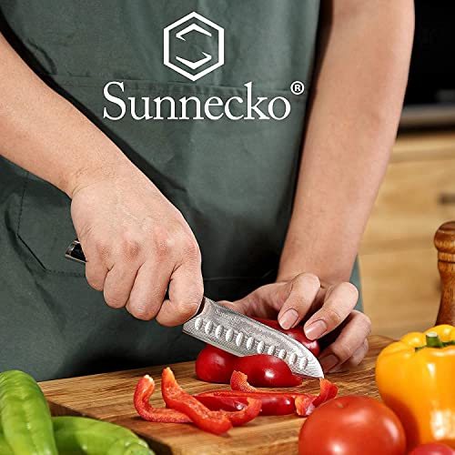 Sunnecko Kitchen Knife Japanese Damascus Santoku Knife 5 Inch,High Carbon Steel Cooking Knife Professional with G10 Handle