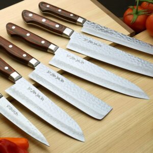 Yoshihiro VG-10 16 Layer Hammered Damascus Stainless Steel Chef Knife 6pc Set - MADE IN JAPAN