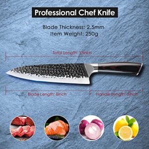 8 Inch Kitchen Knife,Professional Sharp Chef Knife,German High Carbon Steel ,Hand Forged Hammered Chopping Kinfe with Ergonomic Handle,All-Around Cooking Knife in Gift Box