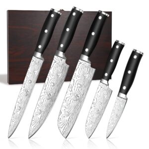 kitchen knife sets, high carbon stainless steel knife set with wood case, 5-piece chef knives with ergonomic triple riveted handle, rust-proof for home and restaurant use, easy to clean