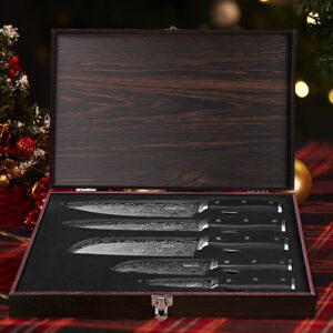 Kitchen Knife Sets, High Carbon Stainless Steel Knife Set with Wood Case, 5-Piece Chef Knives with Ergonomic Triple Riveted Handle, Rust-proof For Home and Restaurant Use, Easy to clean