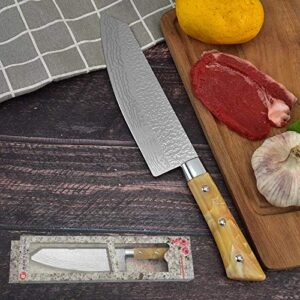 Tycos Chef Knife - Pro Damascus Pattern Kitchen Knife 8 Inch Chef's Knives Stainless Steel Sharp Paring Knife with Ergonomic Handle