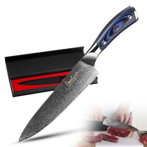 chef knives,finetool 8 inch professional kitchen knife japanese damascus vg10 67 layer stainless steel knives with ultra sharp blue micarta handle
