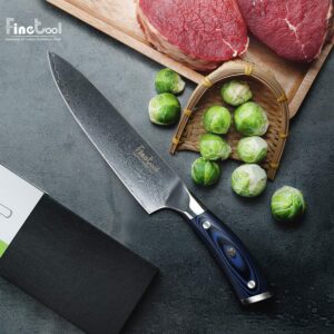 Chef Knives,FineTool 8 inch Professional Kitchen Knife Japanese Damascus VG10 67 Layer Stainless Steel Knives with Ultra Sharp Blue Micarta Handle