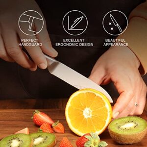 BECOKAY Paring Knife with Sheath, 4 Inch Sharp Peeling Fruits Knives, Portable Bread Knives, High Carbon German Stainless Steel Kitchen Knife with Full-tang Handle for Gift Fruit Meat Outdoor