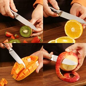 BECOKAY Paring Knife with Sheath, 4 Inch Sharp Peeling Fruits Knives, Portable Bread Knives, High Carbon German Stainless Steel Kitchen Knife with Full-tang Handle for Gift Fruit Meat Outdoor