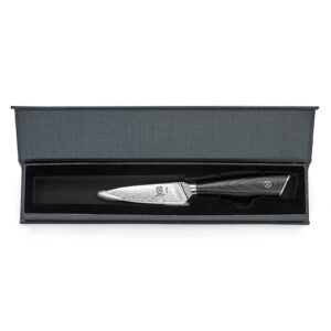 Mercer Culinary M13791 Premium Grade Super Steel, 3.5-Inch Paring Knife, G10 Handle