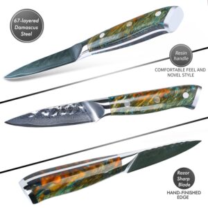 SANMUZUO 3.5 Inch Paring Knife - Fruit and Vegetable Peeling Knives, Forged Damascus Steel & Resin Handle - Yao Series