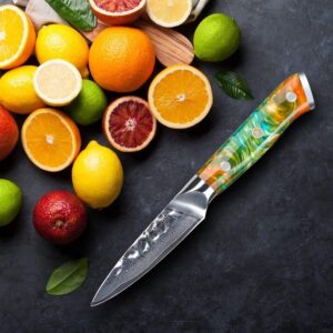 SANMUZUO 3.5 Inch Paring Knife - Fruit and Vegetable Peeling Knives, Forged Damascus Steel & Resin Handle - Yao Series