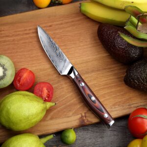 PAUDIN 3.5 Inch Paring Knife, Damascus Stainless Steel Blade Full Tang G10 Handle, Sharp VG10 Steel Fruit Knife and Vegetable Peeling Knife