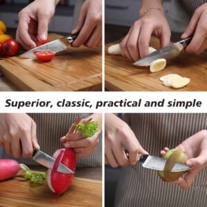 PAUDIN 3.5 Inch Paring Knife, Damascus Stainless Steel Blade Full Tang G10 Handle, Sharp VG10 Steel Fruit Knife and Vegetable Peeling Knife