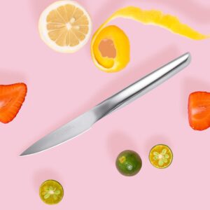 HAST Paring Knife - 3.5 Inch Small Kitchen Knife-Ultra Sharp-Premium Powder Steel-Professional High Performance-Sleek Bolsterless-Ergonomic Handle-Stylish Minimalist Design (Glossy Stainless)