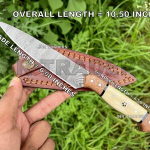 JNR Traders Damascus Paring Knife, Steak Knife, 6 in Chef Knife with Leather Sheath, Full Tang Thin Ultra-Sharp Bbq Knife 3702